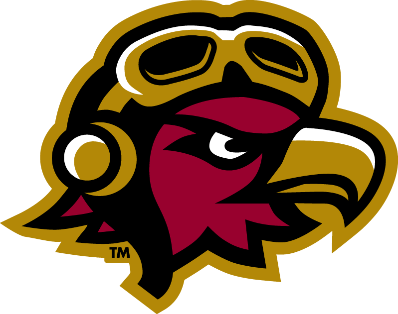 Louisiana-Monroe Warhawks 2006-Pres Misc Logo v4 diy iron on heat transfer